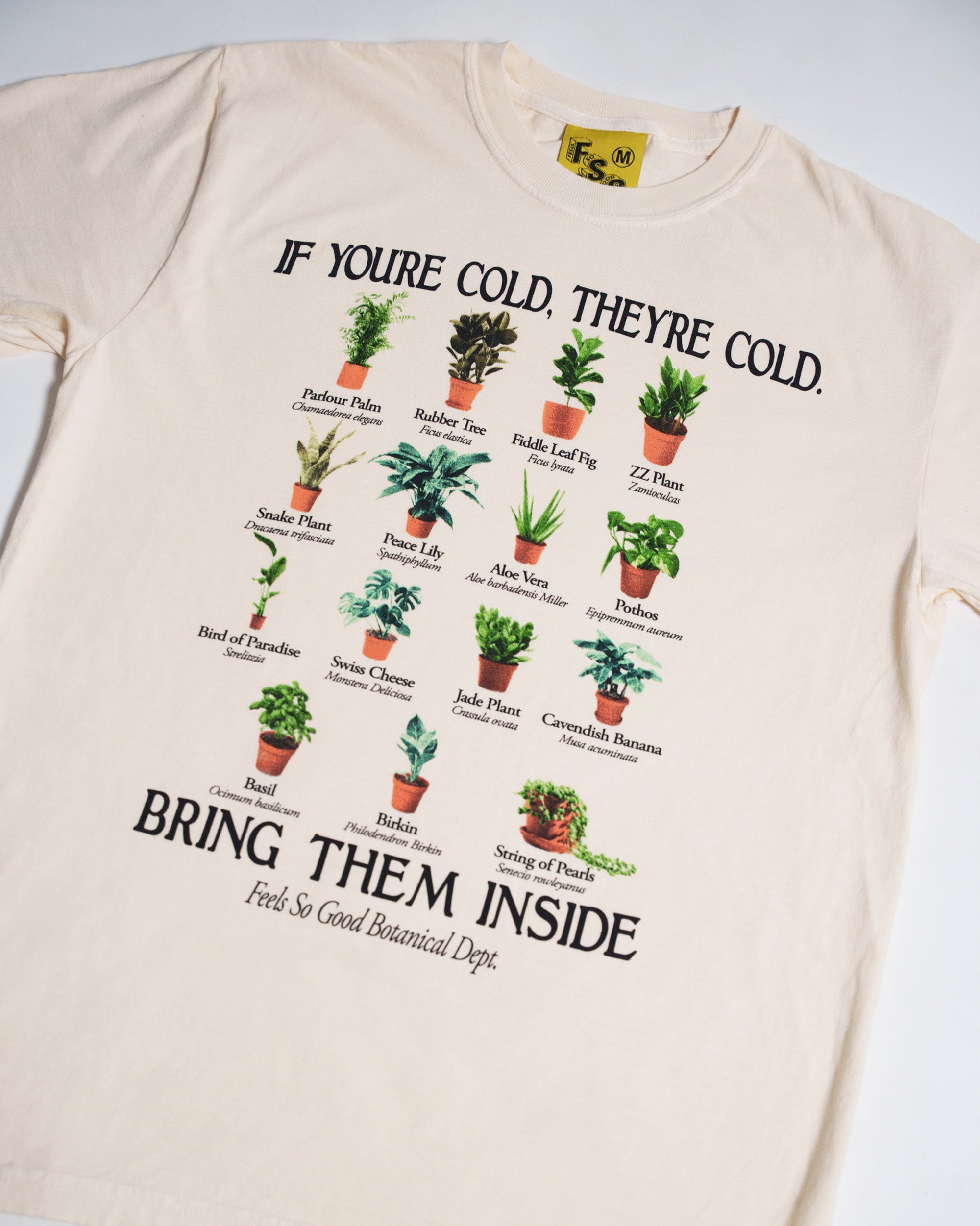 Bring Them Inside - Ships Week of 3/2